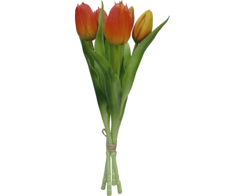 Strauß Tulpen mit grünen Stielen