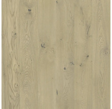 Handmuster zu Parkett Toffee goldbraun natur Eiche Landhausdiele Gebürstet 2200 x 180 x 14 mm