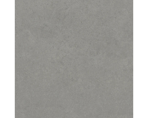 Carreau de sol gris avec surface mate.