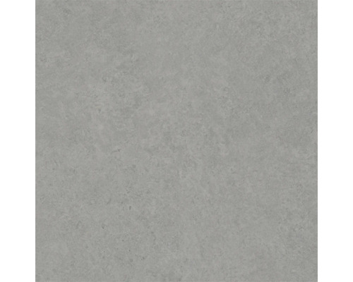 Carreau en grès cérame gris avec surface mate