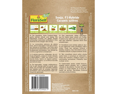 Sachet de graines de concombre hybride Sonja F1 pour concombres de salade de plein champ