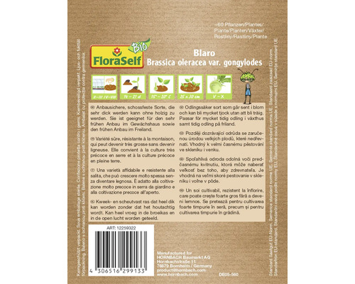 Semences de chou-rave FloraSelf Blaro pour environ 60 plantes