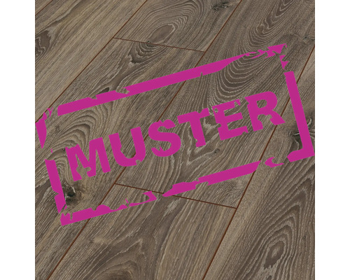 Handmuster zu Laminat Robusto Timeless Oak Landhausdiele 1375 x 188 x 12 mm Laminatboden Muster