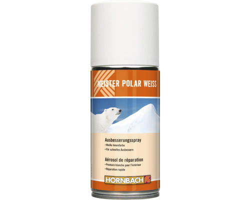 Spray de correction Meister blanc polaire blanc 150 ml Aérosol de réparation Meister Polar Weiss pour l''intérieur