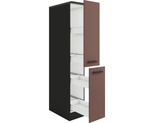 Armoire de cuisine avec éléments extractibles