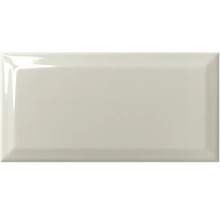 Carreau rectangulaire brillant