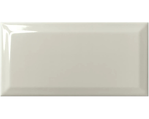 Carreau rectangulaire brillant