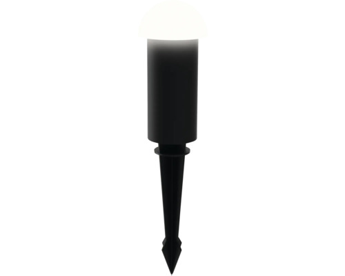 Spot de sol piquet de terre Edwina 1x1,5 W noir