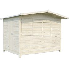 Abri de jardin en bois avec porte et volets