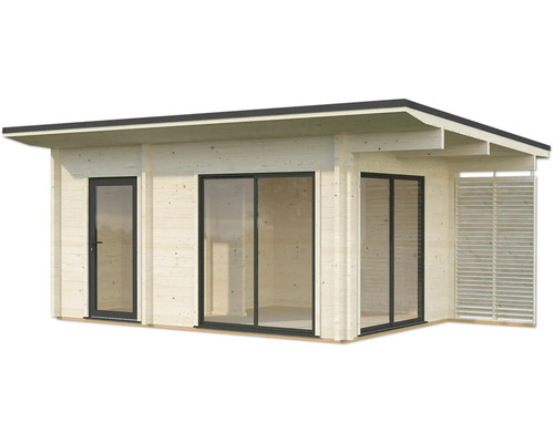 Abri de jardin moderne en bois avec porte, baie vitrée coulissante et paroi à lamelles