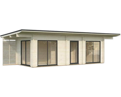 Maison de jardin en bois avec fenêtres et porte