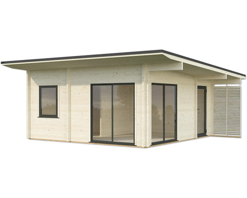 Abri de jardin moderne avec toit plat, fenêtres et portes coulissantes