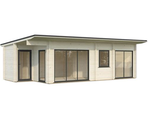 Abri de jardin avec fenêtres et porte