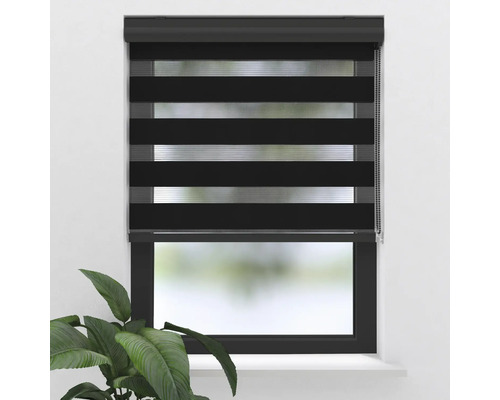 Doppelrollo am Fenster zur Lichtregulierung