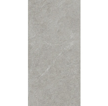 MIRAVA NARVIK Feinsteinzeug Wand- und Bodenfliese silver BxLxS 30x60x0.85 cm