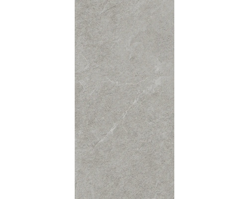 Carrelage sol et mur en grès cérame fin MIRAVA NARVIK silver lxLxe 30x60x0.85 cm