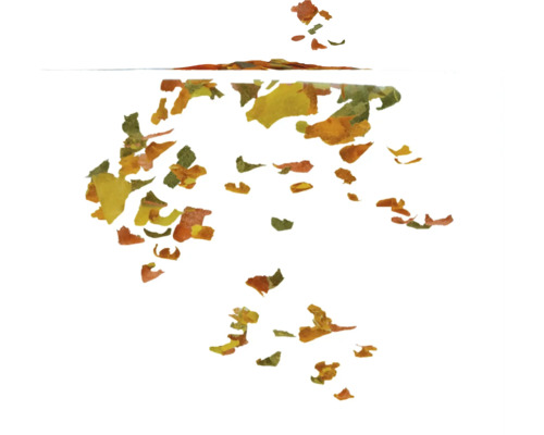 Getrocknete Gemüsestücke als Zutat