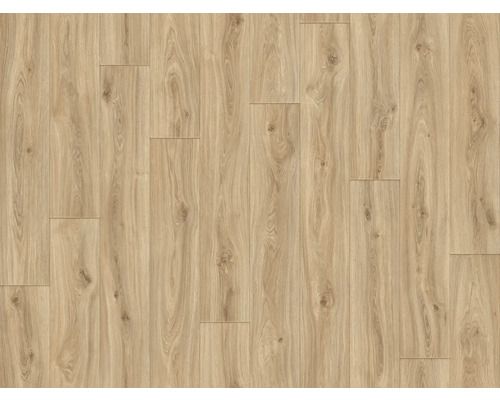 PVC-Boden Forest Holzdielenoptik braun Dielen 20x150 cm 400 cm breit (Meterware) Verlegung von hellem Laminatboden in Holzoptik