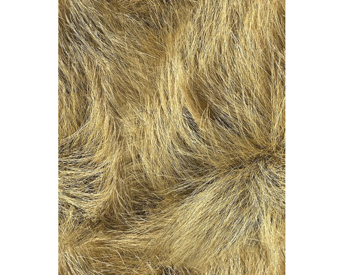 Papier peint intissé 45769 Struktura fourrure marron Gros plan d''herbes ornementales dans le jardin