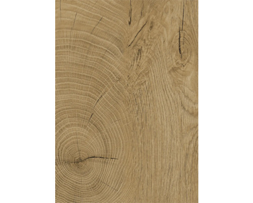 Holzstruktur mit Jahresringen