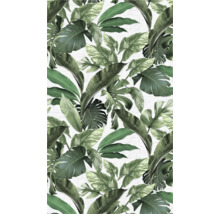 Papier peint avec des feuilles tropicales pour la décoration murale