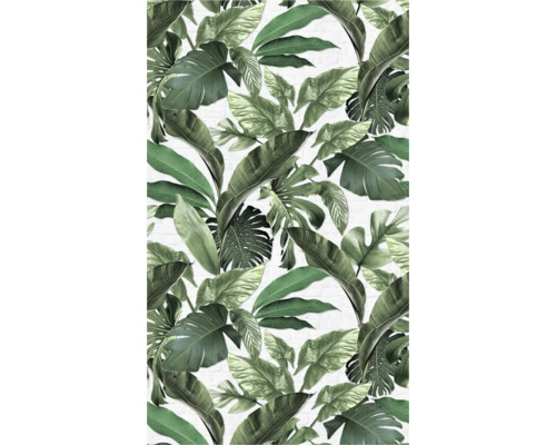 Papier peint avec des feuilles tropicales pour la décoration murale