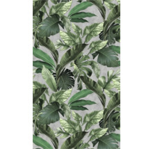 Papier peint avec des feuilles tropicales