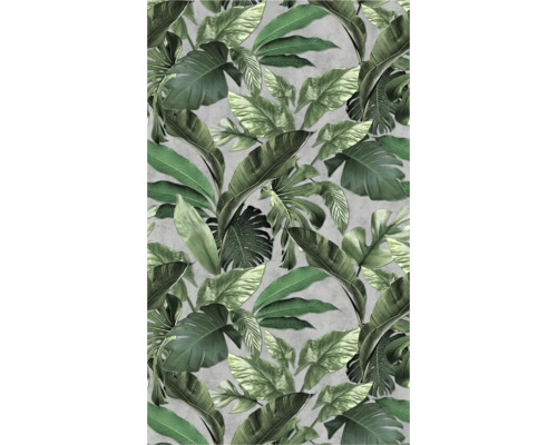 Papier peint avec des feuilles tropicales