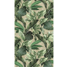 Papier peint avec feuilles tropicales