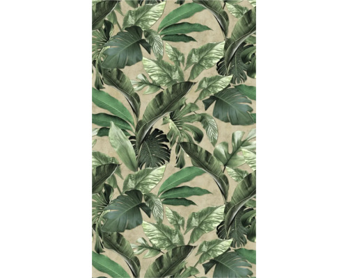 Papier peint avec feuilles tropicales