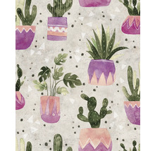 Muster mit Kakteen und Zimmerpflanzen in Töpfen