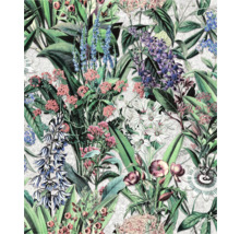 Papier peint à motif floral et illustrations botaniques