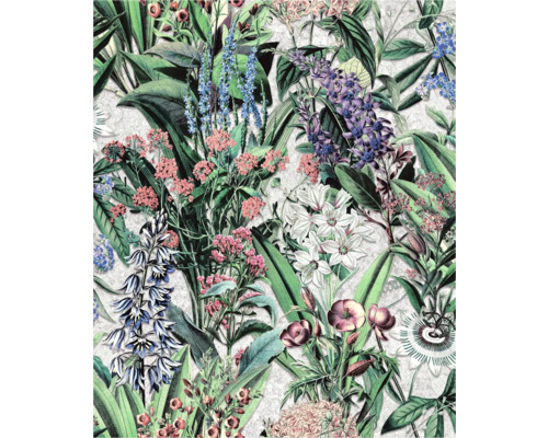 Papier peint à motif floral et illustrations botaniques