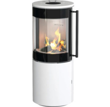 Kaminofen mit Glasverkleidung und Feuer