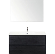 Meuble sous-lavabo avec deux tiroirs, lavabo et armoire de toilette