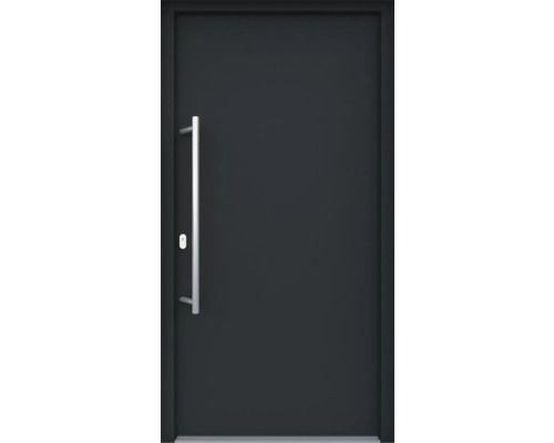 Porte d'entrée ARON Basic 3101 composite aluminium-plastique RAL 7016 gris anthracite 1000x2100 mm recouvrant le vantail sur un côté tirant gauche y compris jeu de poignée de poussée, poignée intérieure en acier inoxydable, cylindre profilé avec 3 clés