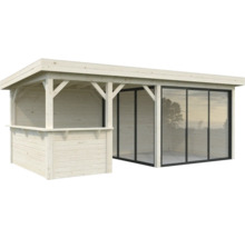 Abri de jardin en bois avec façade en verre