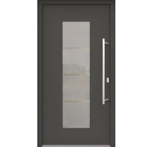 Porte d''entrée avec insert en verre et poignée en acier inoxydable