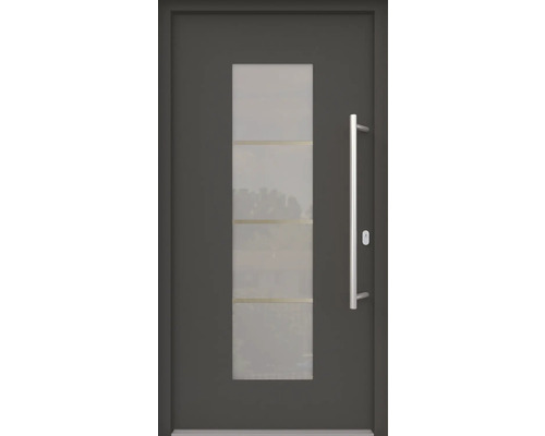 Porte d''entrée avec insert en verre et poignée en acier inoxydable