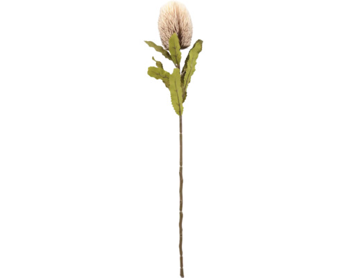 Fleur artificielle branche Banksia fibre synthétique métal h 64 cm gris Fleur de Banksia artificielle avec feuilles et tige