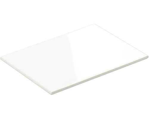 form&style Steingut Wandfliese OLBIA weiss glänzend 20 x 25 x 0,7 cm Weisse Keramikfliese