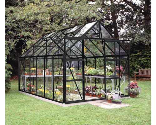 Gewächshaus Halls Magnum inkl. Sicherheitsglas 3 mm 257 x 284 cm schwarz Gewächshaus aus Glas und Metall mit Pflanzen auf Regalen im Garten.