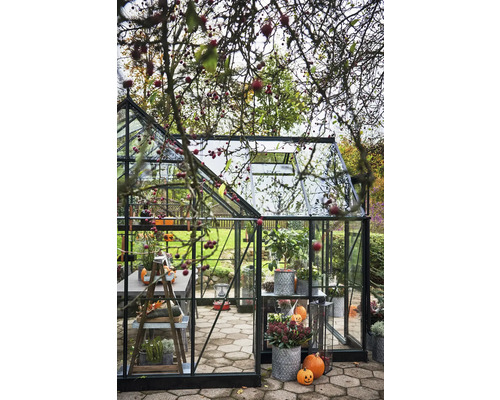 Serre avec intérieur et décoration automnale dans le jardin