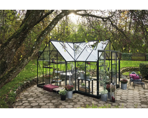 Serre avec des plantes sur une surface pavée dans le jardin.