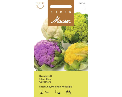 Samen Mauser Blumenkohl Mischung