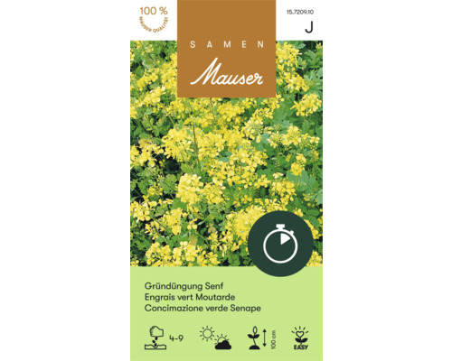 Semences Mauser engrais vert moutarde jaune 250 g Mauser Engrais vert Moutarde Sachet de graines