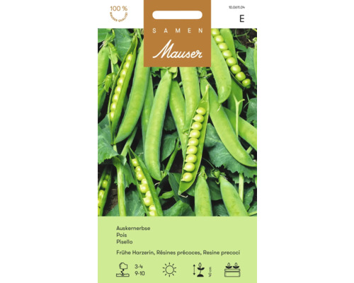 Samen Mauser semences de légumes pois à écosser Frühe Harzerin Mauser Seeds Graines de pois mange-tout hâtives