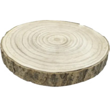 Baumscheibe aus Holz