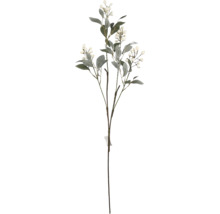 Dekorativer Zweig mit Blättern und Beeren für Innenräume