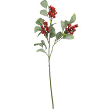 Dekorativer Zweig mit Blättern und Beeren zur Dekoration